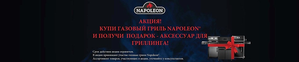 Газовые грили Napoleon в Москве