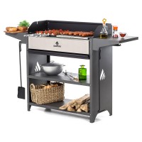 Мангал Professional Optima Grill POG 3000